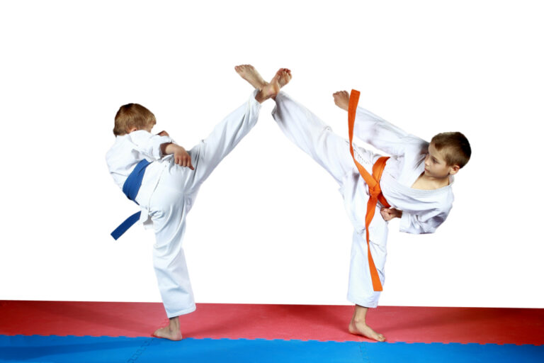 Taekwondo Classes In Southwest Florida